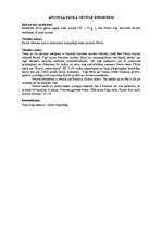 Konspekts 'Konspekts par Jaunās Derības grāmatām', 12.