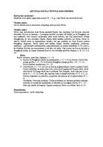 Konspekts 'Konspekts par Jaunās Derības grāmatām', 14.