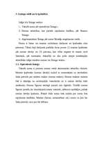 Referāts 'Līzings', 6.