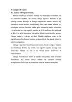 Referāts 'Līzings', 8.