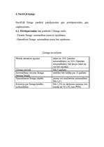 Referāts 'Līzings', 13.