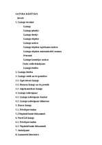 Referāts 'Līzings', 18.