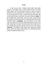 Referāts 'Globalizācija', 2.