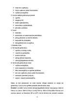 Referāts 'Globalizācija', 15.