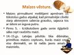 Prezentācija 'Maize - ikdienas pamatēdiens', 3.