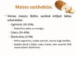Prezentācija 'Maize - ikdienas pamatēdiens', 5.