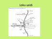 Prezentācija 'Loka šaušana', 8.