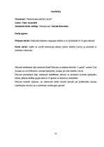 Referāts 'Rokmūzikas attīstība Latvijā', 42.