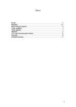 Referāts 'Ernsts Johans Bīrons', 2.