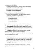 Konspekts 'Sociālie stereotipi', 2.