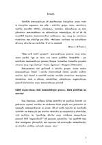 Referāts 'Globālās komunikācijas iezīmes Eiropas Savienības projekta ietvaros starp Latvij', 2.