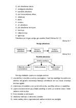 Referāts 'Būvražošana un plānošana', 6.