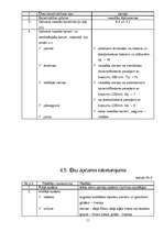 Referāts 'Būvražošana un plānošana', 11.