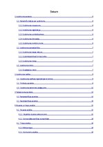 Biznesa plāns 'Sabiedrība ar ierobežotu atbildību "Ciku Caku"', 2.