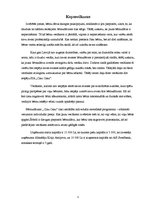 Biznesa plāns 'Sabiedrība ar ierobežotu atbildību "Ciku Caku"', 5.