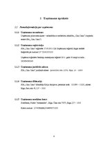 Biznesa plāns 'Sabiedrība ar ierobežotu atbildību "Ciku Caku"', 6.