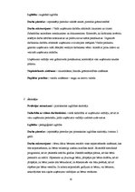 Biznesa plāns 'Sabiedrība ar ierobežotu atbildību "Ciku Caku"', 10.