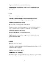 Biznesa plāns 'Sabiedrība ar ierobežotu atbildību "Ciku Caku"', 11.