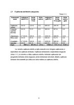 Biznesa plāns 'Sabiedrība ar ierobežotu atbildību "Ciku Caku"', 12.