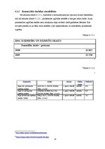 Biznesa plāns 'Sabiedrība ar ierobežotu atbildību "Ciku Caku"', 16.