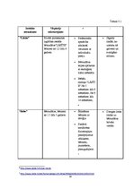 Biznesa plāns 'Sabiedrība ar ierobežotu atbildību "Ciku Caku"', 19.
