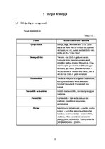 Biznesa plāns 'Sabiedrība ar ierobežotu atbildību "Ciku Caku"', 21.