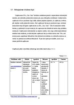 Biznesa plāns 'Sabiedrība ar ierobežotu atbildību "Ciku Caku"', 23.