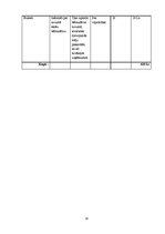 Biznesa plāns 'Sabiedrība ar ierobežotu atbildību "Ciku Caku"', 24.