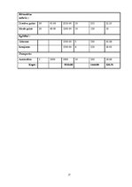 Biznesa plāns 'Sabiedrība ar ierobežotu atbildību "Ciku Caku"', 27.