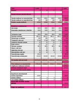 Biznesa plāns 'Sabiedrība ar ierobežotu atbildību "Ciku Caku"', 32.