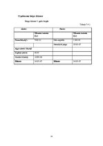 Biznesa plāns 'Sabiedrība ar ierobežotu atbildību "Ciku Caku"', 34.