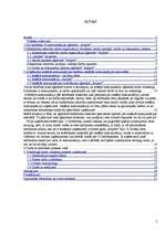 Prakses atskaite 'Prakses atskaite reklāmas un sabiedrisko attiecību aģentūrā "Airport"', 2.