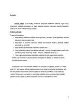 Prakses atskaite 'Prakses atskaite reklāmas un sabiedrisko attiecību aģentūrā "Airport"', 3.