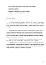 Prakses atskaite 'Prakses atskaite reklāmas un sabiedrisko attiecību aģentūrā "Airport"', 7.