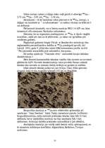 Referāts 'Urāns', 10.