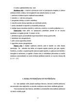 Referāts 'Riska faktors uzņēmējdarbībā', 11.