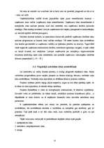 Referāts 'Riska faktors uzņēmējdarbībā', 14.