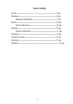 Referāts 'Viena tēma dažādos laikos. "Portrets"', 2.