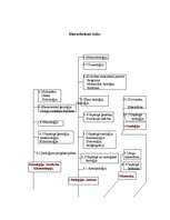 Konspekts 'Matemātikas, dabaszinātņu nozares hierarhiskais koks un anotācijas', 2.