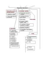 Konspekts 'Matemātikas, dabaszinātņu nozares hierarhiskais koks un anotācijas', 3.