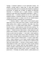 Konspekts 'Matemātikas, dabaszinātņu nozares hierarhiskais koks un anotācijas', 6.