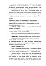 Diplomdarbs 'Vides reklāmas uztvere cilvēkiem ar dažādiem ienākumiem', 20.