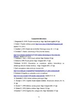 Diplomdarbs 'Vides reklāmas uztvere cilvēkiem ar dažādiem ienākumiem', 51.