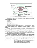 Referāts 'Tehnoloģiskais audits poligrāfijas uzņēmumā SIA "MP Druka"', 10.