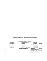 Referāts 'Tehnoloģiskais audits poligrāfijas uzņēmumā SIA "MP Druka"', 19.