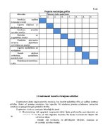 Referāts 'Tehnoloģiskais audits poligrāfijas uzņēmumā SIA "MP Druka"', 20.