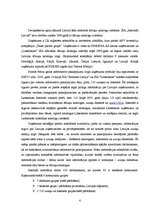 Referāts '"118" produktu raksturojums un to virzība tirgū', 4.