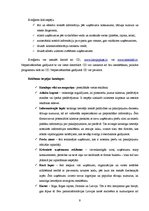 Referāts '"118" produktu raksturojums un to virzība tirgū', 9.