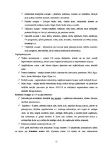 Referāts '"118" produktu raksturojums un to virzība tirgū', 11.