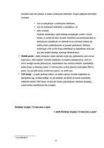 Referāts '"118" produktu raksturojums un to virzība tirgū', 13.